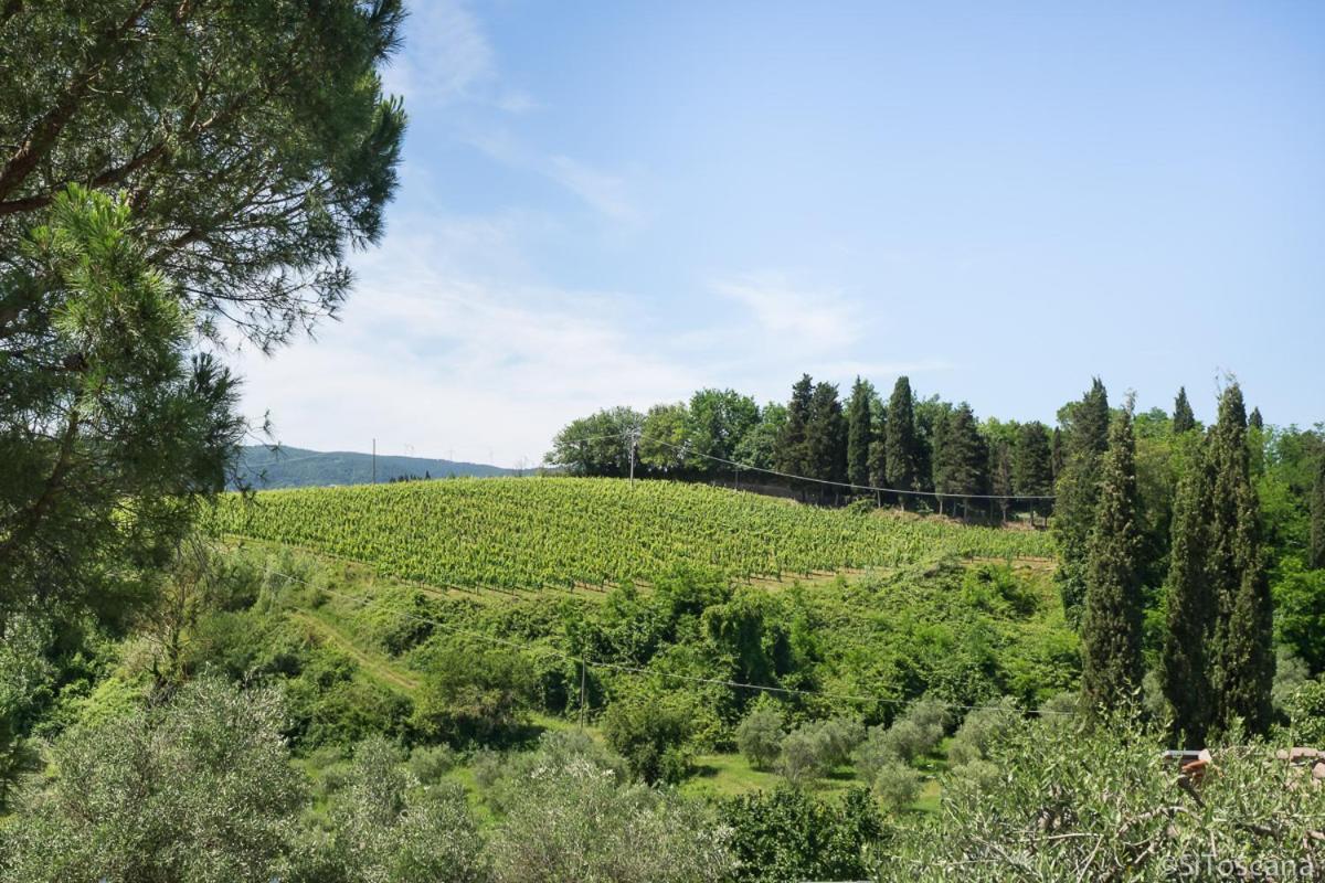 Agriturismo Terre Di Toscana Terricciola Exterior foto