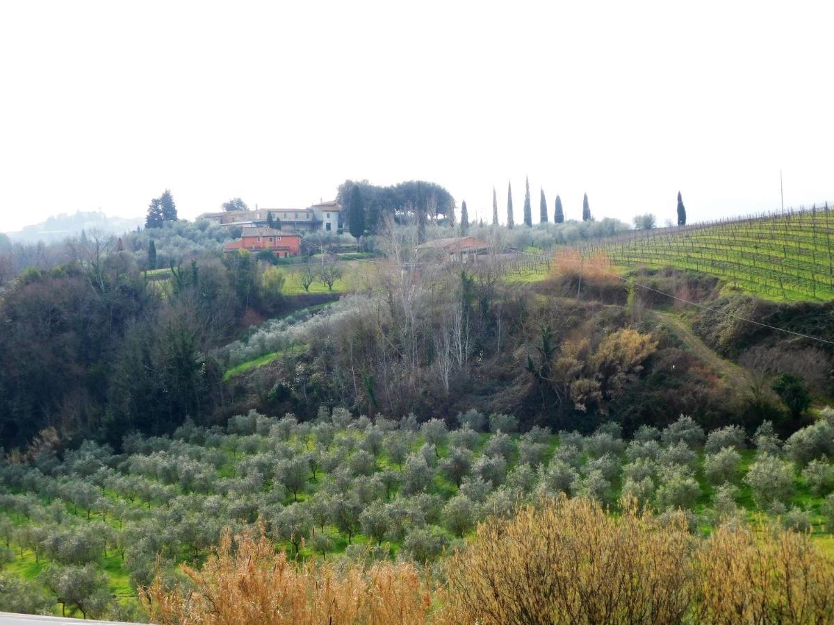 Agriturismo Terre Di Toscana Terricciola Exterior foto