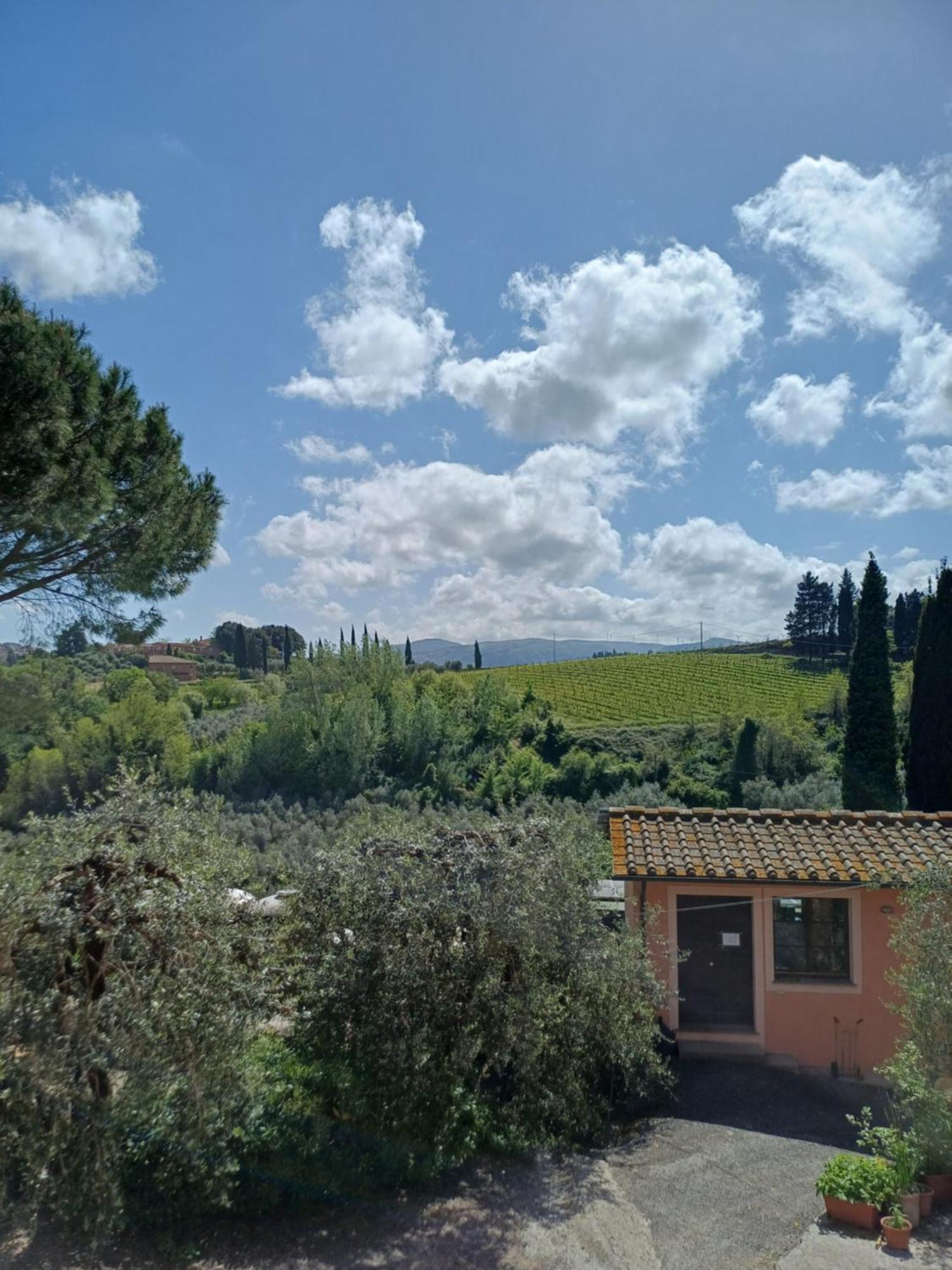 Agriturismo Terre Di Toscana Terricciola Exterior foto